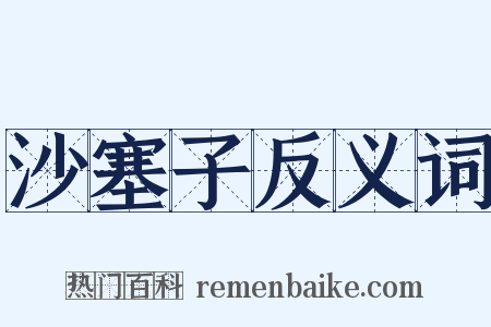 沙塞子反义词是什么意思的图片
